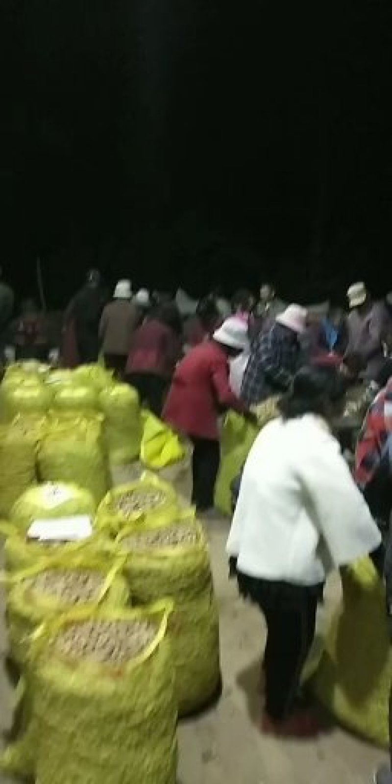 江苏连云港东海，花生海花带壳鲜货颗粒饱满过筛手捡质量好