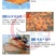 红鲤鱼苗兴国红鲤鱼全国包活发货抗病毒生长快