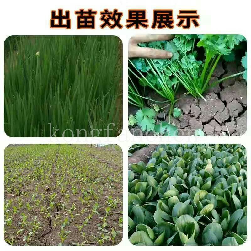 芹菜香菜播种机小粒菜籽精播机多功能蔬菜播种机
