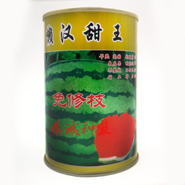 懒汉甜王西瓜早熟高甜抗重茬易坐果不整枝不打杈