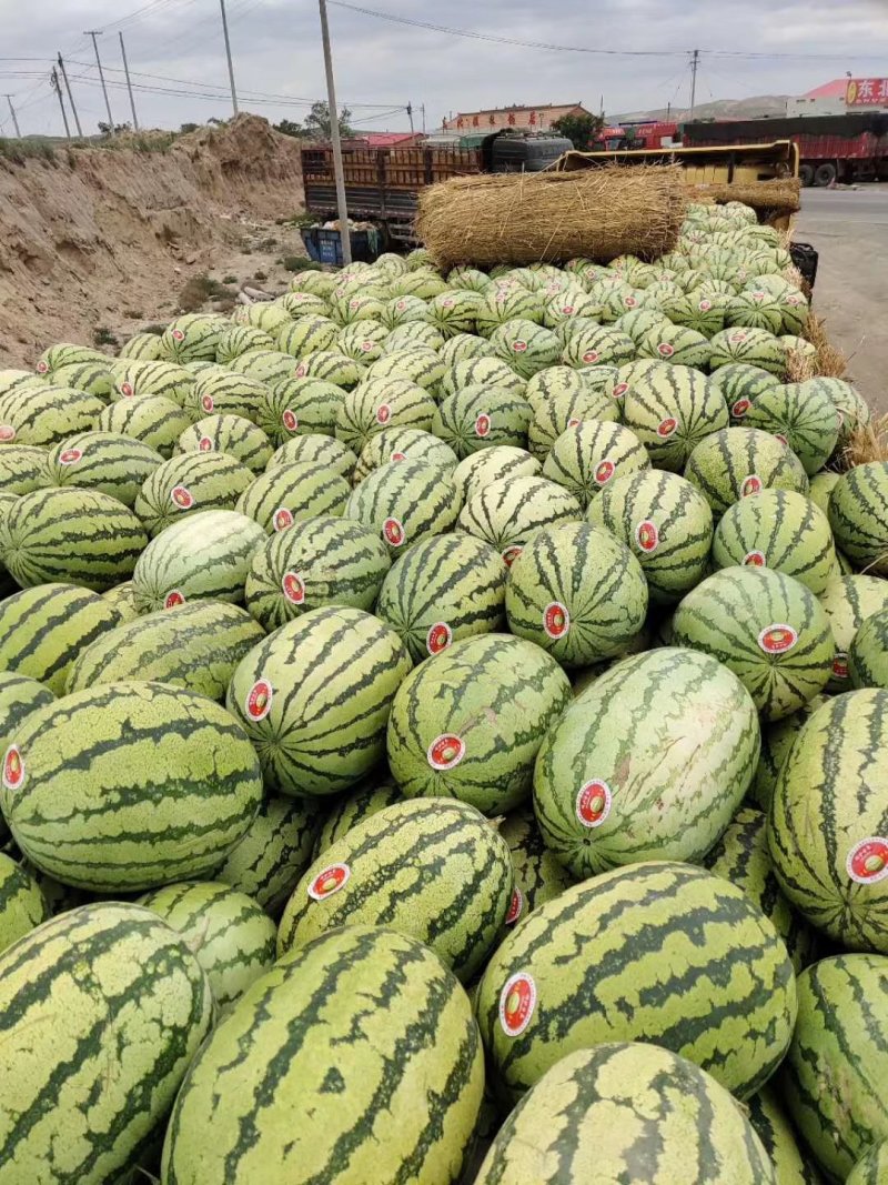 陕西蒲城金城五西瓜口感甜，皮薄多汁，产地直供，量大从优