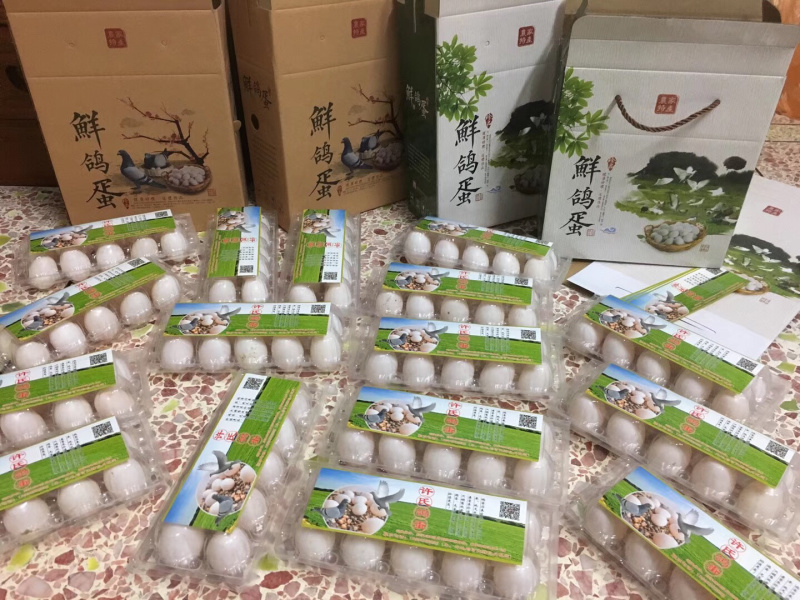 新鲜双母鸽子蛋无受精无孵化