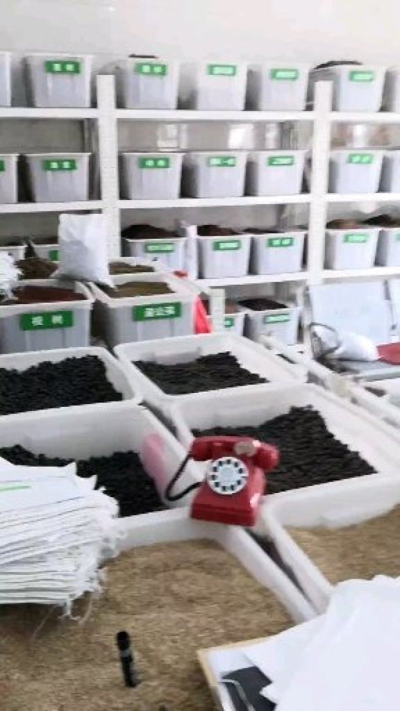小米草龙虾草水草养殖龙虾螃蟹鱼虾都可食用牧草水草