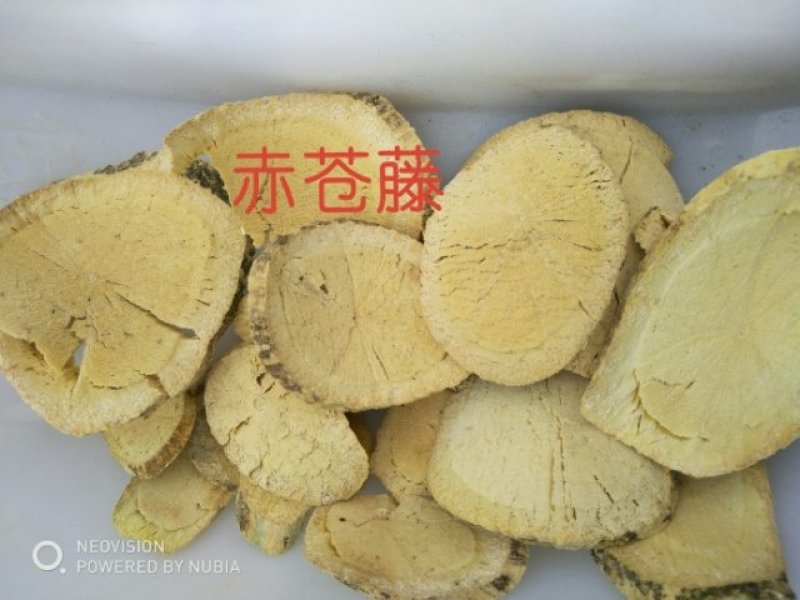 大量批发野生赤苍藤，产地广西