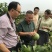 泰国暹罗蜜柚苗只做一代芽➕原生杯苗大公司苗场直供
