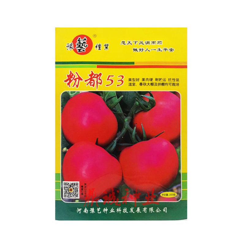 豫艺种业粉都53粉都春宝粉都双喜金粉丰满七号番茄