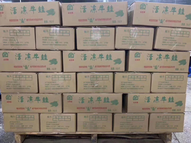 精品牛蛙，量大从优，厂家直销