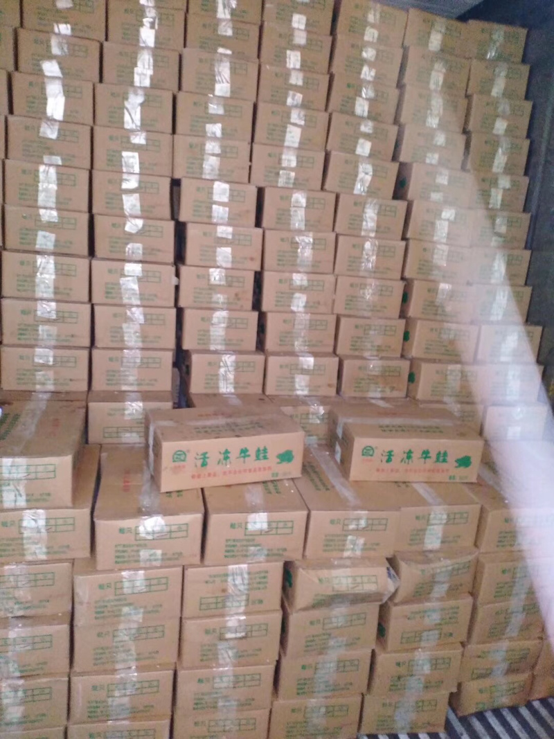 精品牛蛙，量大从优，厂家直销