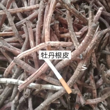 牡丹皮、根可入药，一手货源，量大从优
