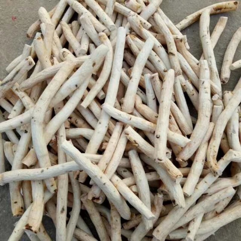 白芍各种规格一手货源产地批发价供应