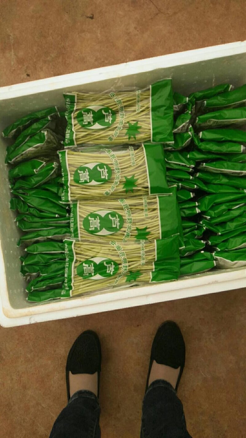 云南野生精品芦蒿，可视频看货，产地直供，支持线上保障交易