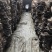 欢迎各位朋友需要平菇的朋友来电，基地直供