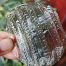 红薯粉条和粉皮