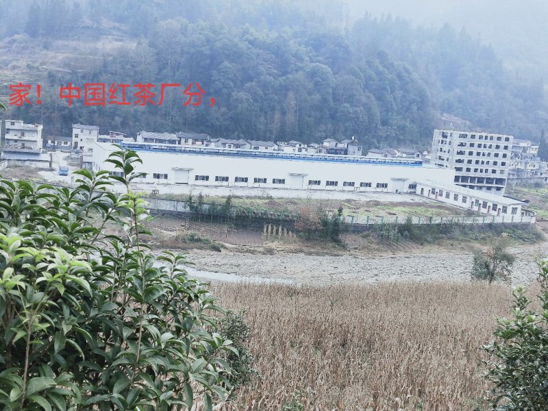 本人有厂房4万平方米，求合伙人仕，只能开𠂆，养殖不行因