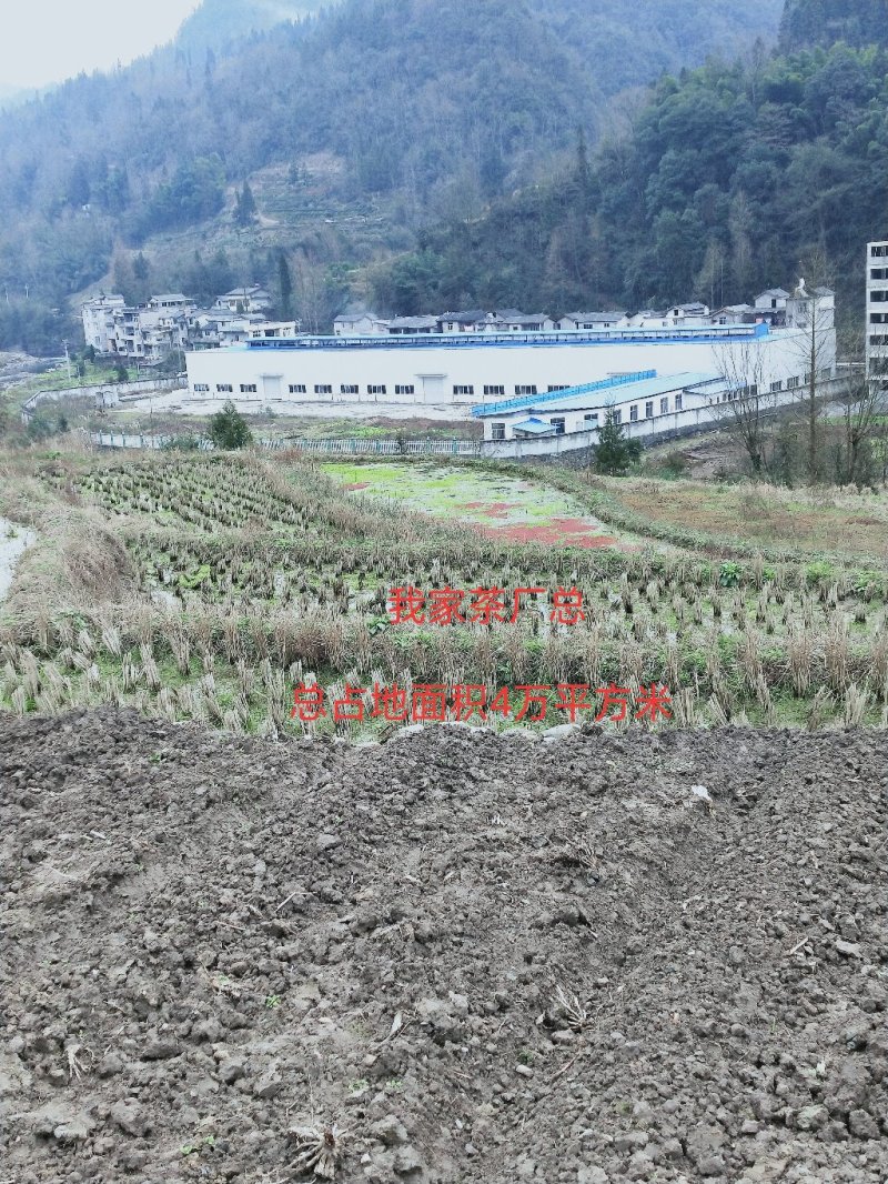 本人有厂房4万平方米，求合伙人仕，只能开𠂆，养殖不行因
