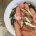 淡水青鱼苗批发4-6cm优质青鱼苗供应
