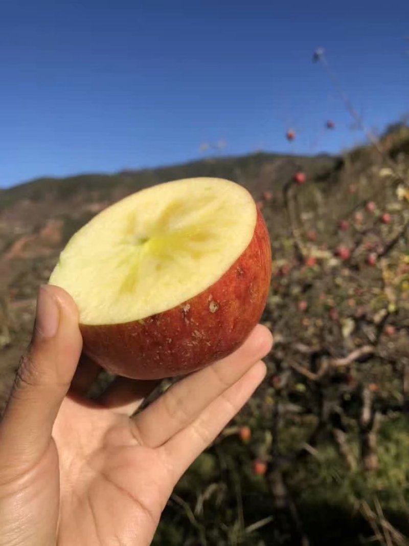 大凉山丑苹果一件代发无痕发货
