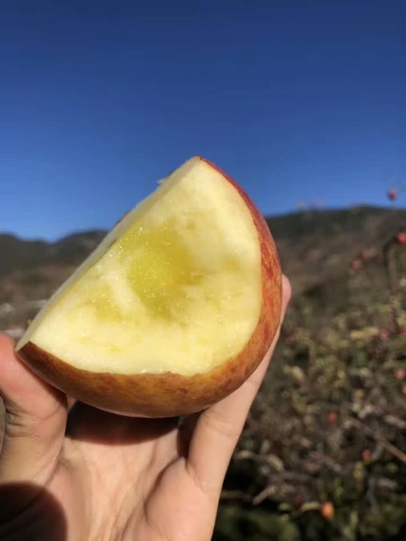 大凉山丑苹果一件代发无痕发货