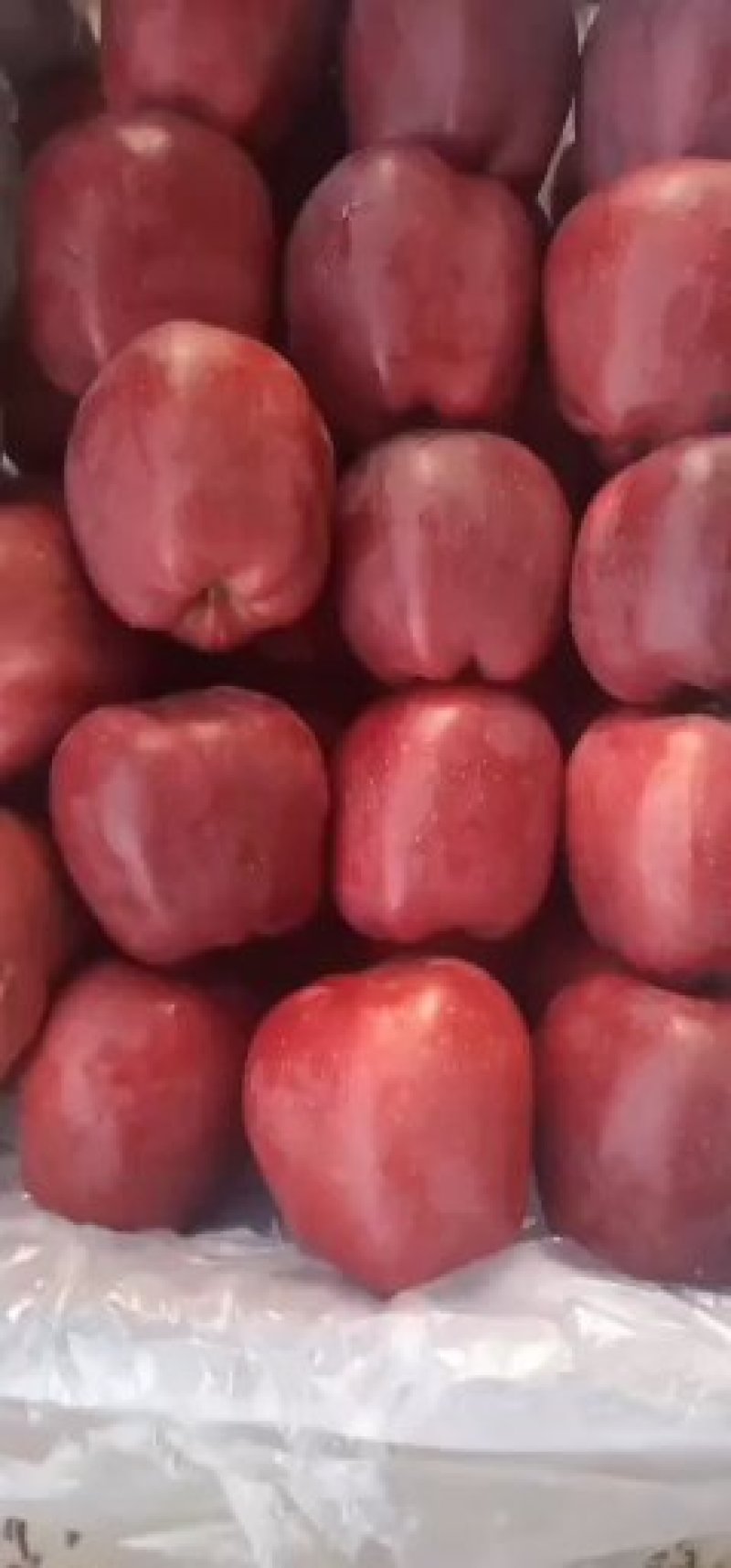 精品花牛，就很牛，物美价廉，色艳味可口，风味独特。