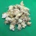 亳菊花菊花正品菊花无硫烘干各种规格批发零售