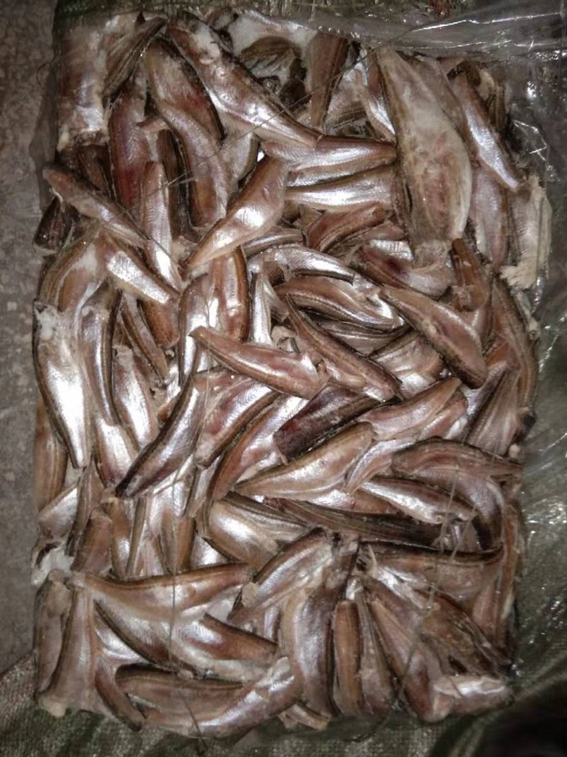 雷鱼，下单之前请先寻价，一根刺，肉质鲜美，煎烤烹炸