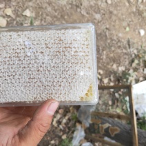 蜂蜜，蜂巢蜜，你买是健康，我卖的是诚信。