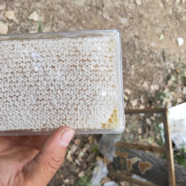 蜂蜜，蜂巢蜜，你买是健康，我卖的是诚信。