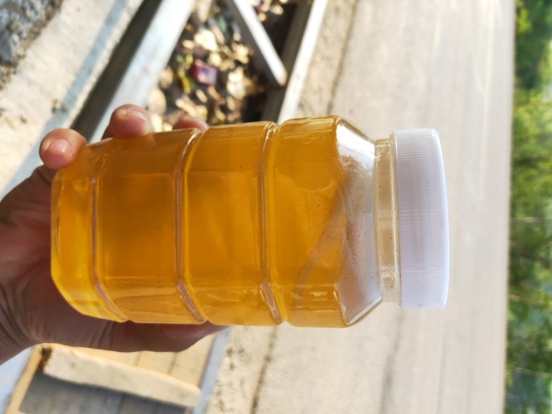 蜂蜜，蜂巢蜜，你买是健康，我卖的是诚信。