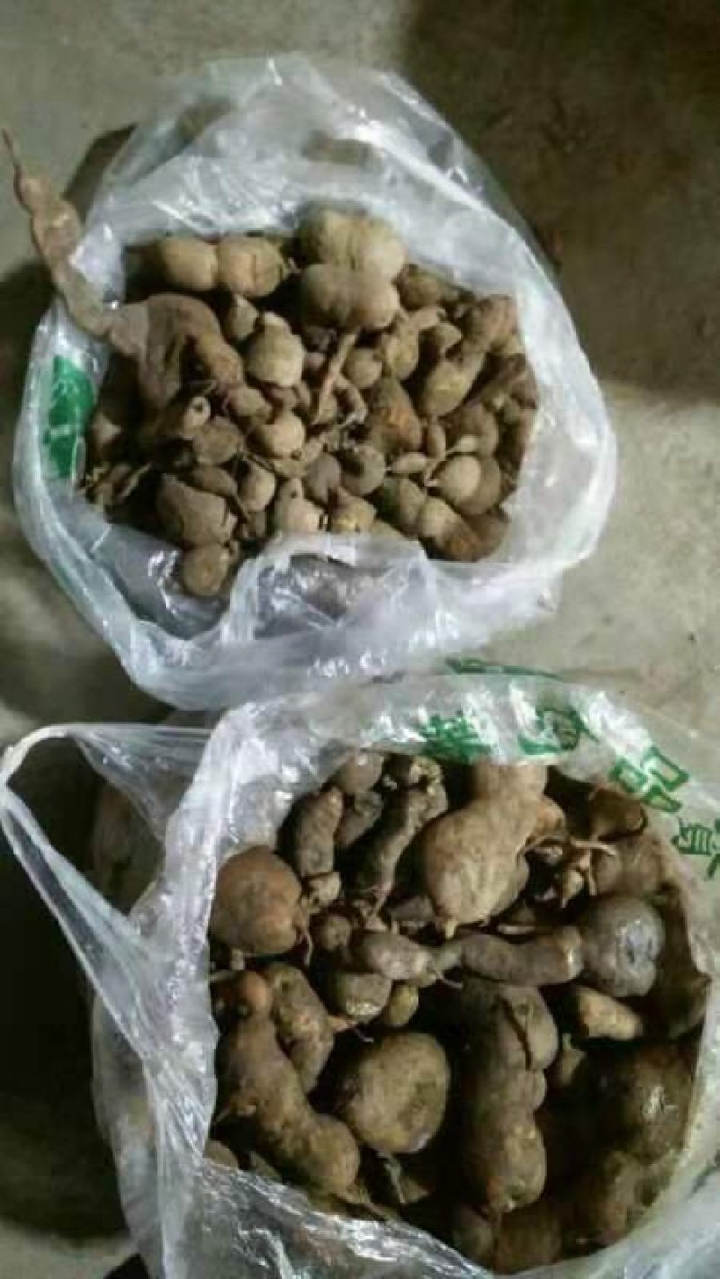 扣子七