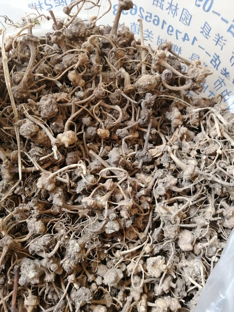 扣子七