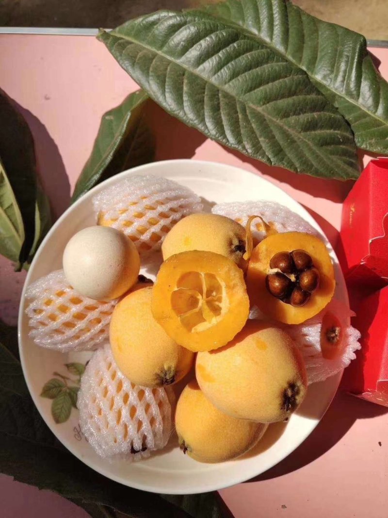 米易高山枇杷。。。。。。，，，，，，，，。。