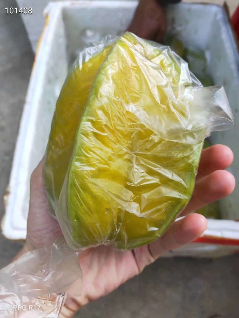 下河杨桃5斤35元保温箱发货。。。