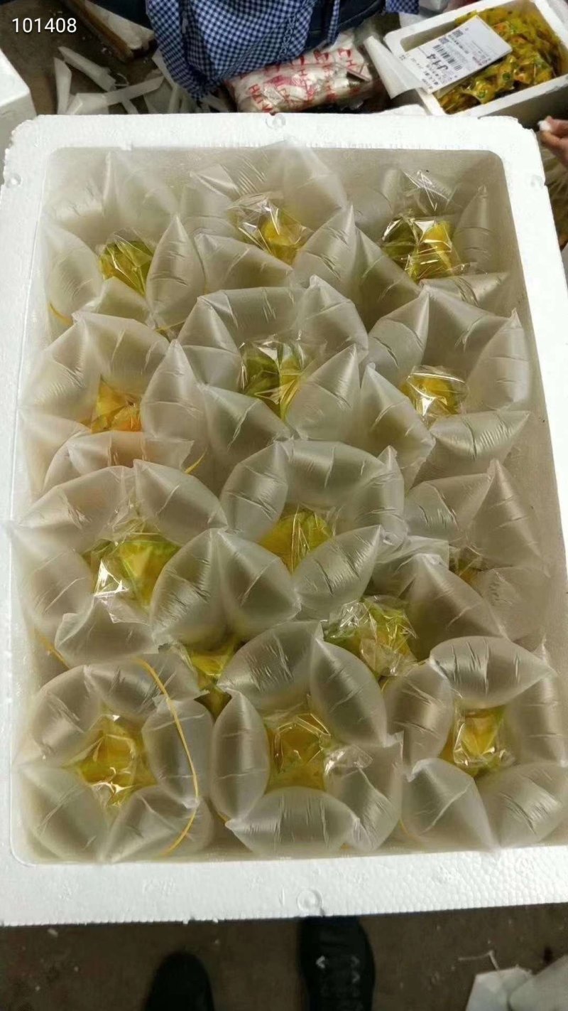下河杨桃5斤35元保温箱发货。。。