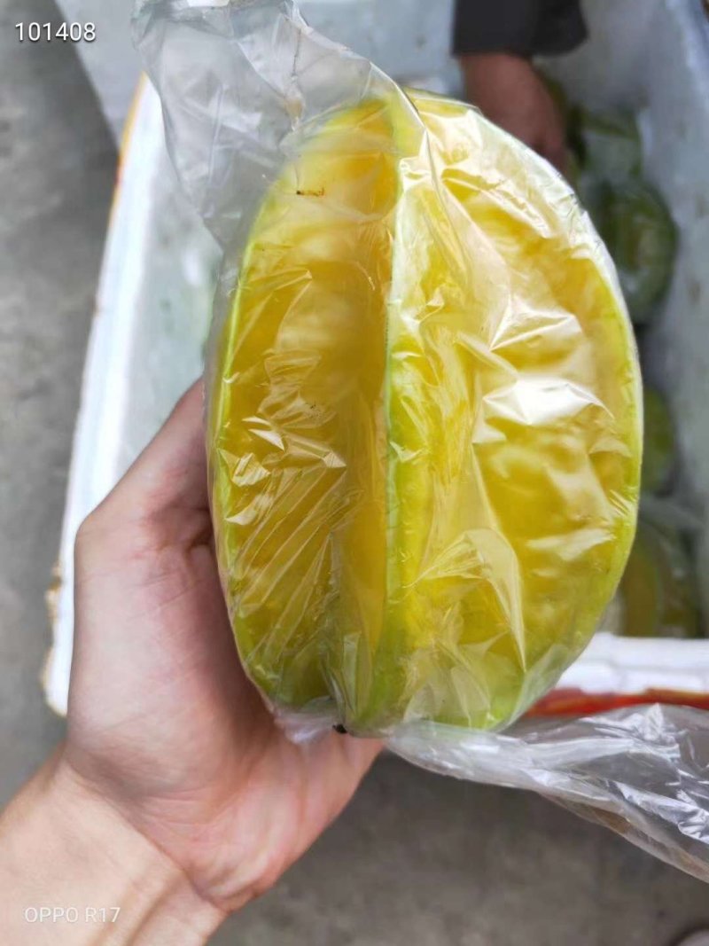 下河杨桃5斤35元保温箱发货。。。
