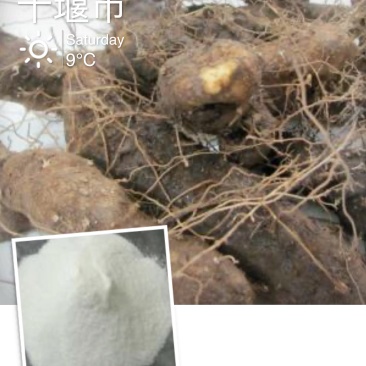 大量黄姜皂素出售