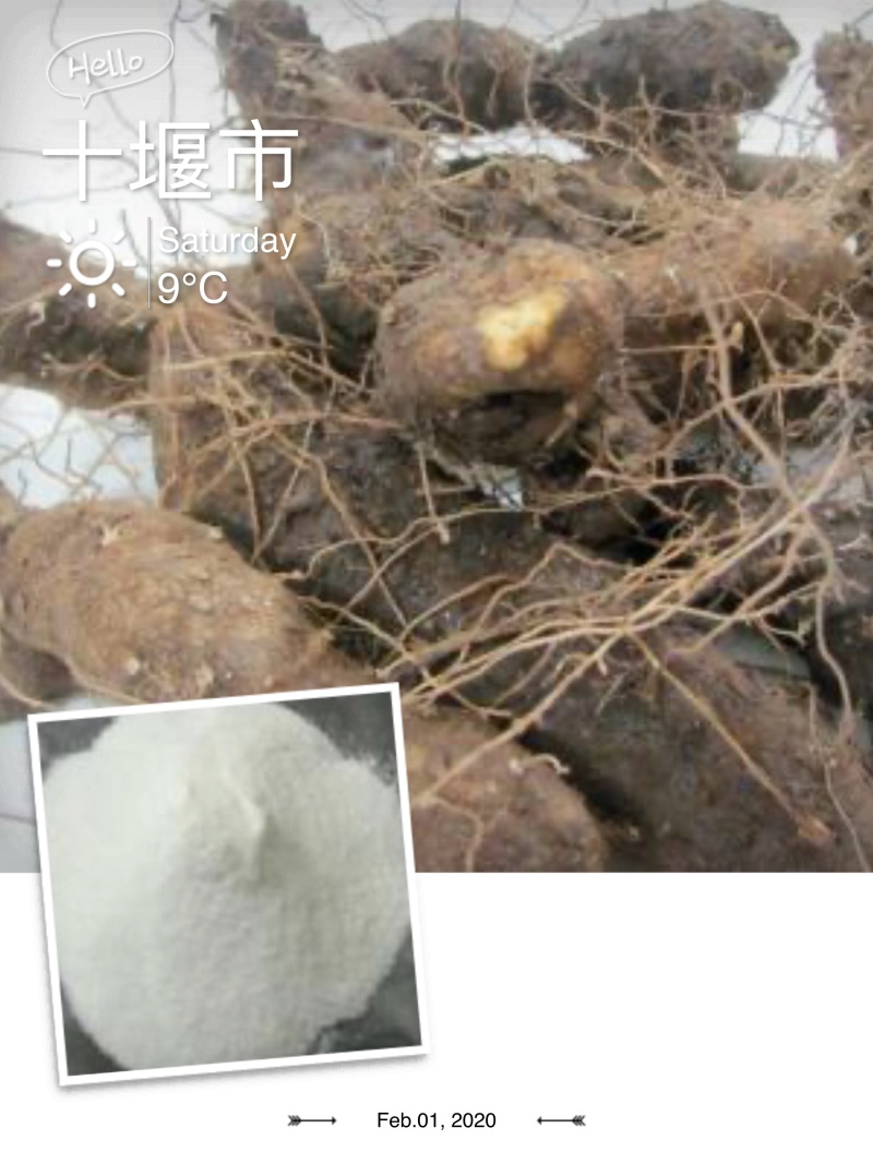 大量黄姜皂素出售