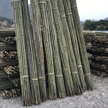 大量批发竹竿，香蕉支撑竹，瓜果蔬菜支撑竹杆，