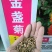 金盏菊种子金盏花种子四季易种花种子长生菊花海易种盆栽耐寒