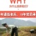 草绳稻草绳草帘稻草帘草垫草袋捆绑树木花木移栽包扎土球保湿