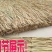草绳稻草绳草帘稻草帘草垫草袋捆绑树木花木移栽包扎土球保湿