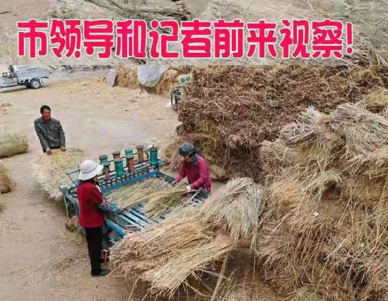草绳稻草绳草帘稻草帘草垫草袋捆绑树木花木移栽包扎土球保湿