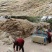 草绳稻草绳草帘稻草帘草垫草袋捆绑树木花木移栽包扎土球保湿