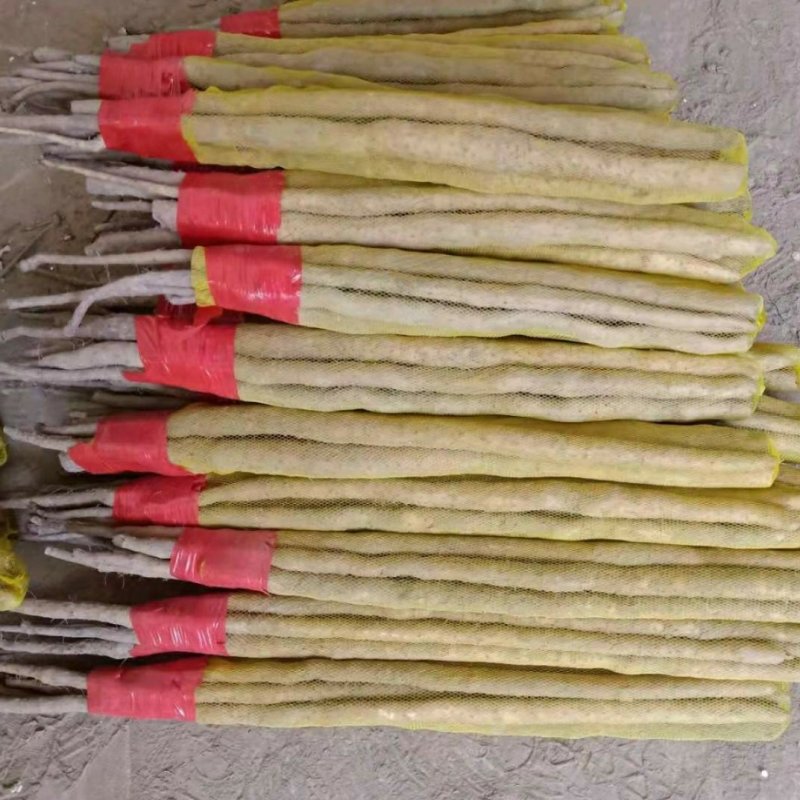 自产自销网袋铁棍山药水洗多规格，一手货源千亩种植产地直供