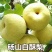 嫁接梨树苗砀山白酥梨树苗梨子树苗南方北方种植
