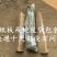 嫁接梨树苗砀山白酥梨树苗梨子树苗南方北方种植