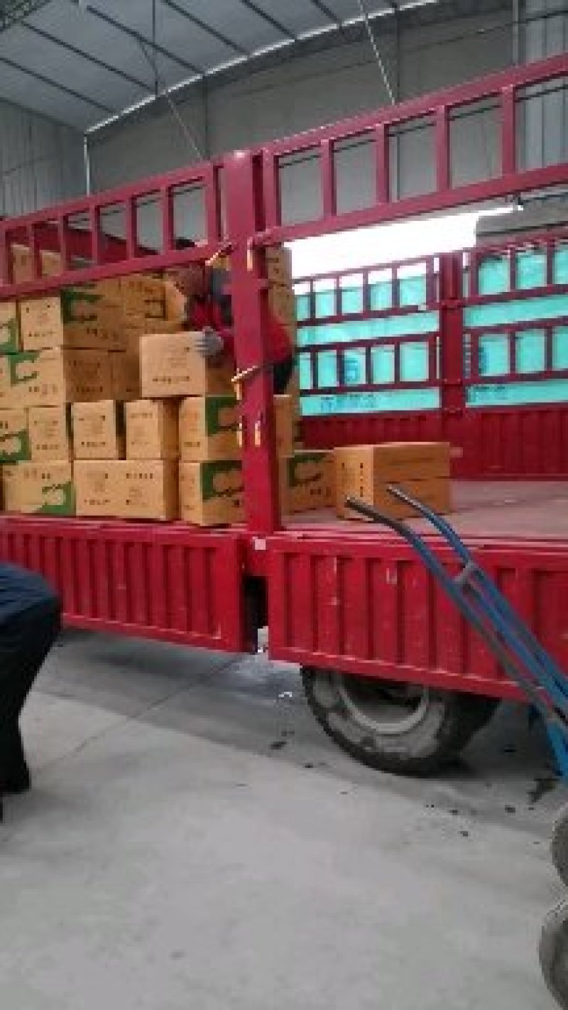梨皇冠梨赵县皇冠梨产地直销口感脆甜皮薄肉厚