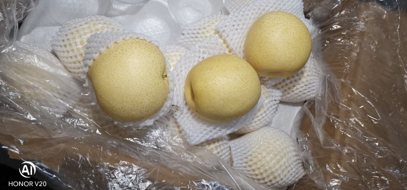 梨皇冠梨赵县皇冠梨产地直销口感脆甜皮薄肉厚