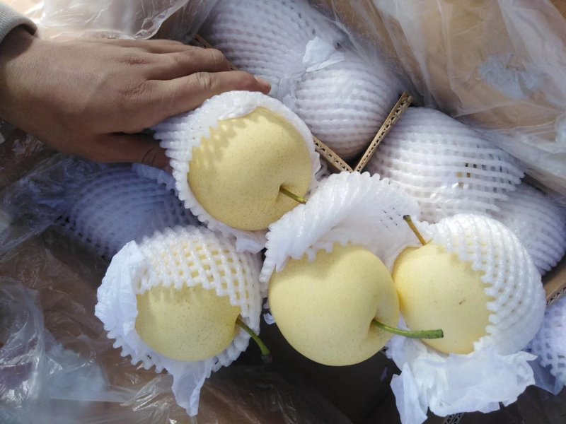 梨皇冠梨赵县皇冠梨产地直销口感脆甜皮薄肉厚