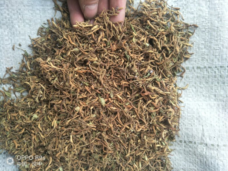 金银花药用金银花、茶用金银花，纯野生金银花