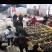 2020羊肚菌最新干货